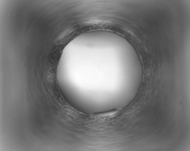 X0000053110869200507251654