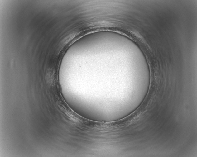 X0000053110873200507251654