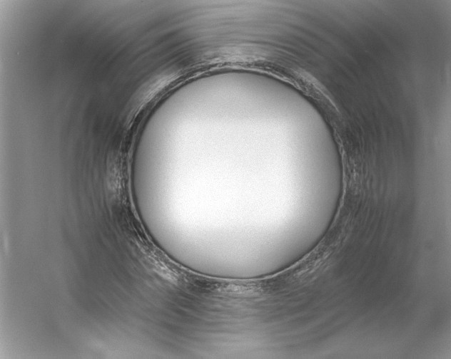 X0000053110874200507251654