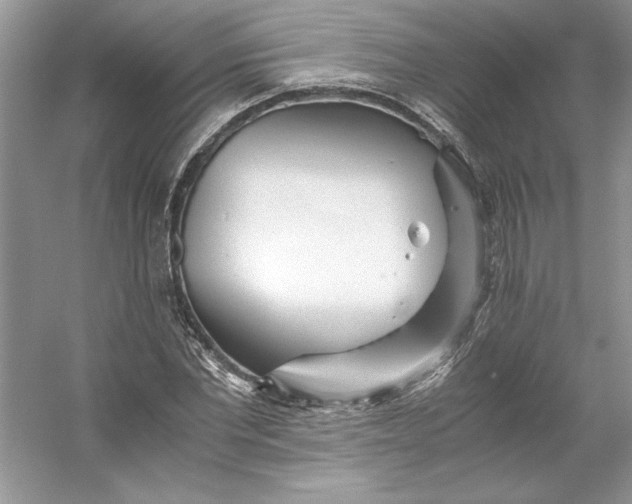 X0000053110877200507251654