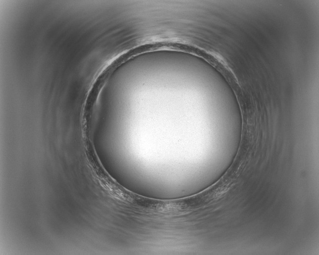 X0000053110879200507251654