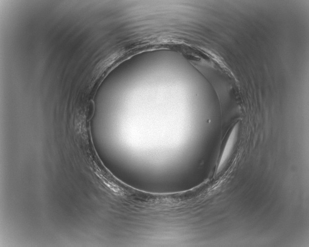 X0000053110881200507251654