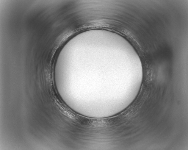 X0000053110882200507251654