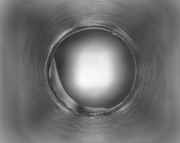 X0000053110885200507251654