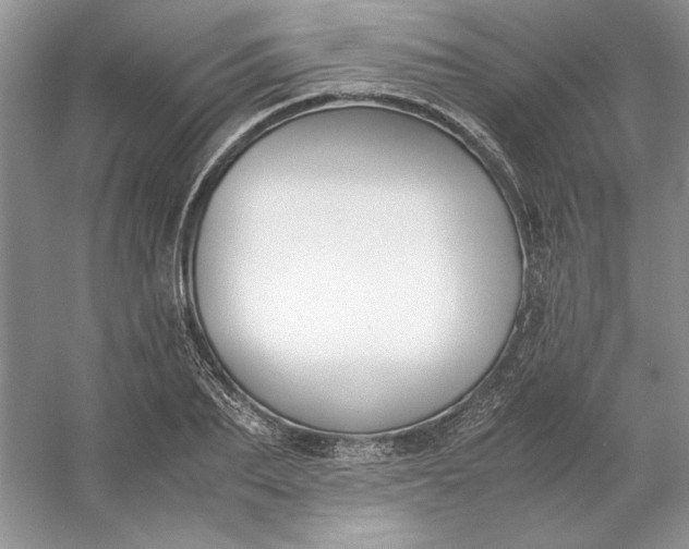 X0000053110887200507251654