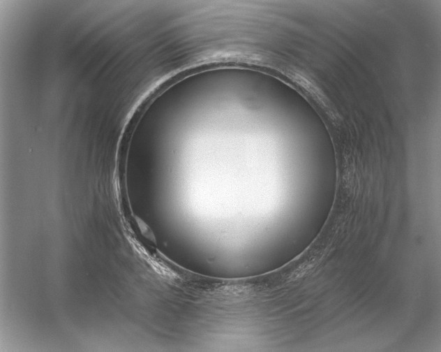 X0000053110888200507251654