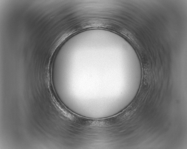 X0000053110890200507251654