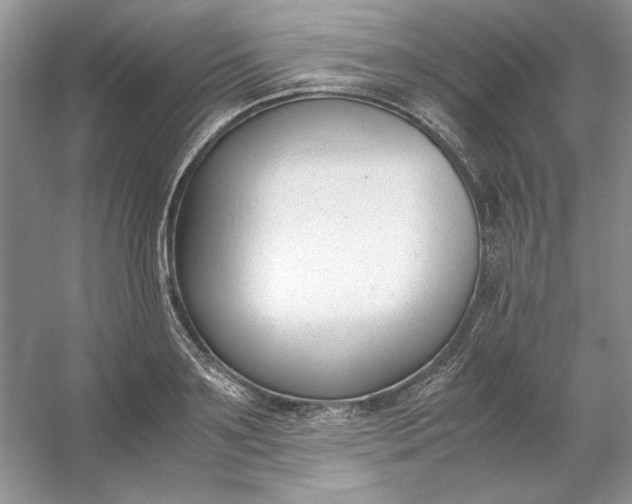X0000053110891200507251654