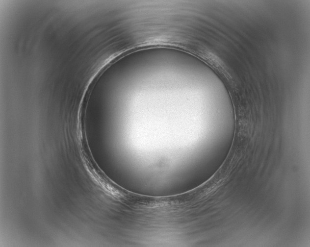 X0000053110892200507251654