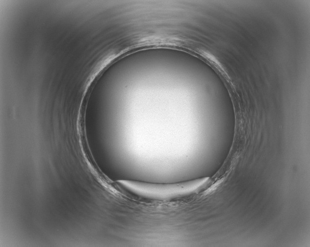 X0000053110893200507251654
