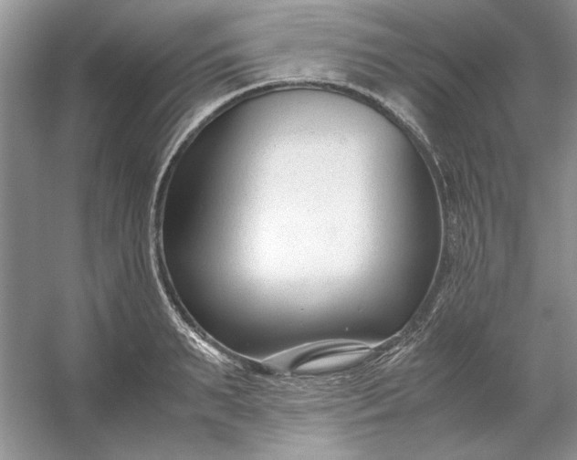 X0000053110895200507251654