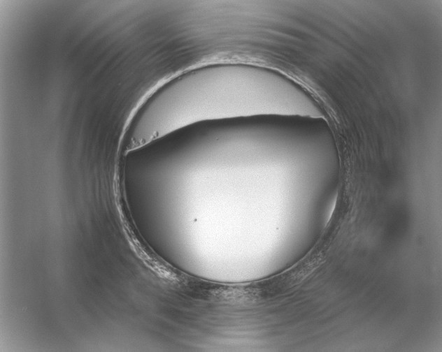 X0000053110896200507251654