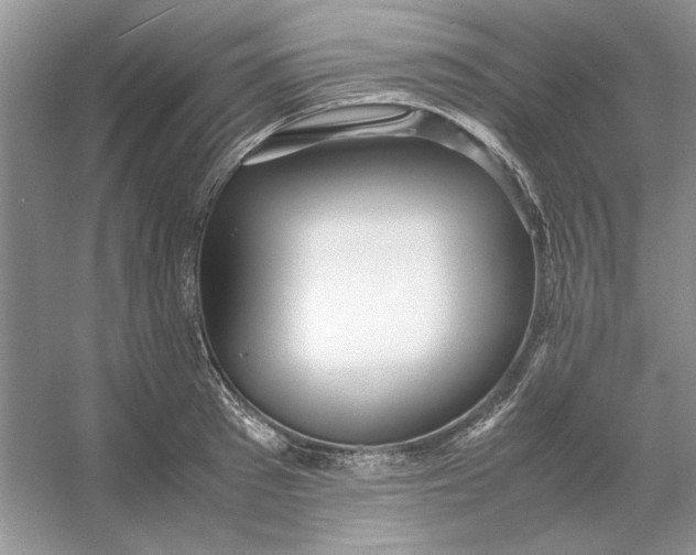 X0000053110897200507251654