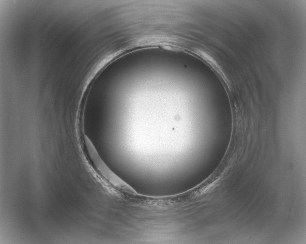 X0000053110901200507251654
