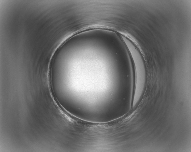 X0000053110902200507251654