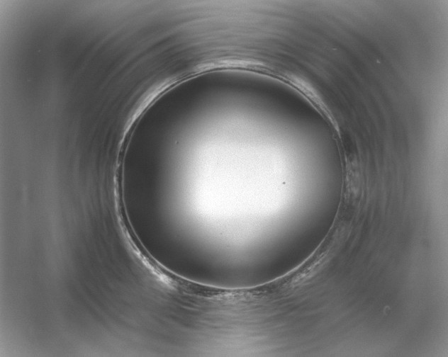 X0000053110906200507251654