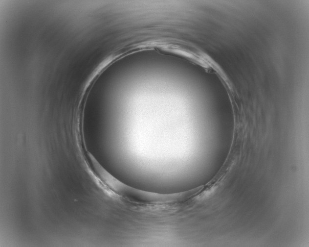 X0000053110909200507251654