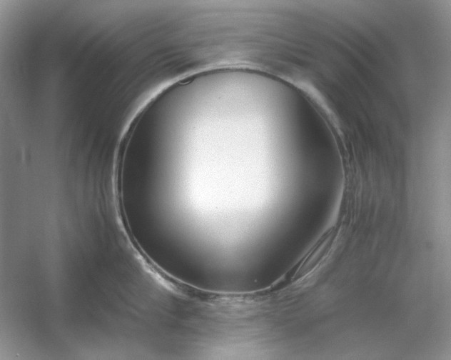X0000053110910200507251654