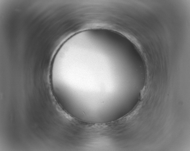 X0000053110912200507251653
