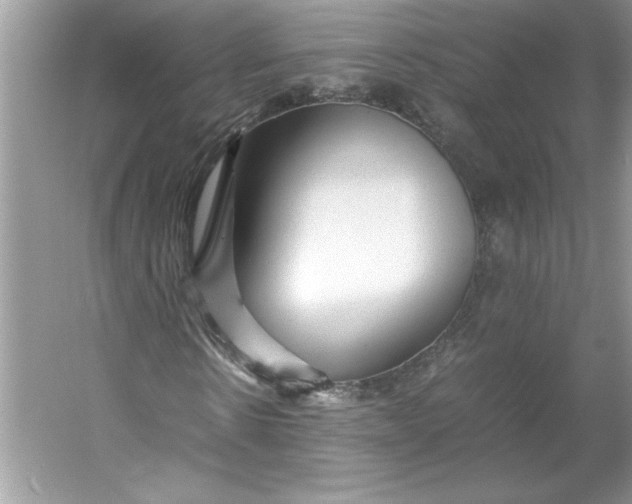 X0000053110914200507251653