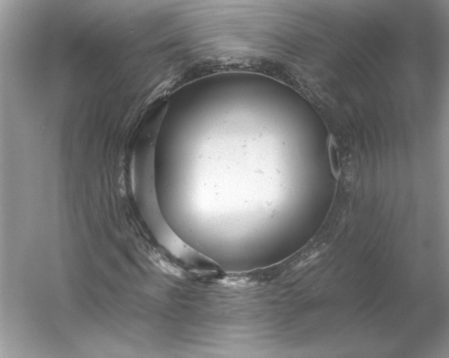 X0000053110916200507251653