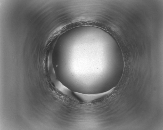 X0000053110920200507251653