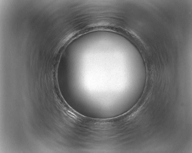 X0000053110921200507251653