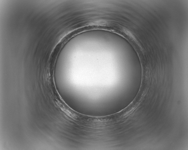 X0000053110923200507251653