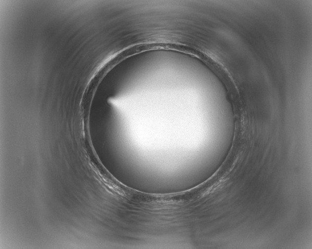 X0000053110925200507251653