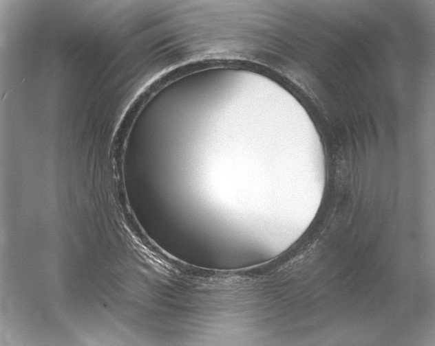 X0000053110926200507251653