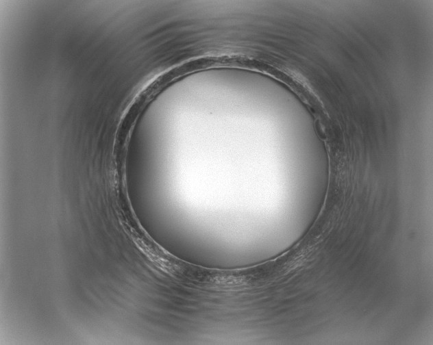 X0000053110927200507251653
