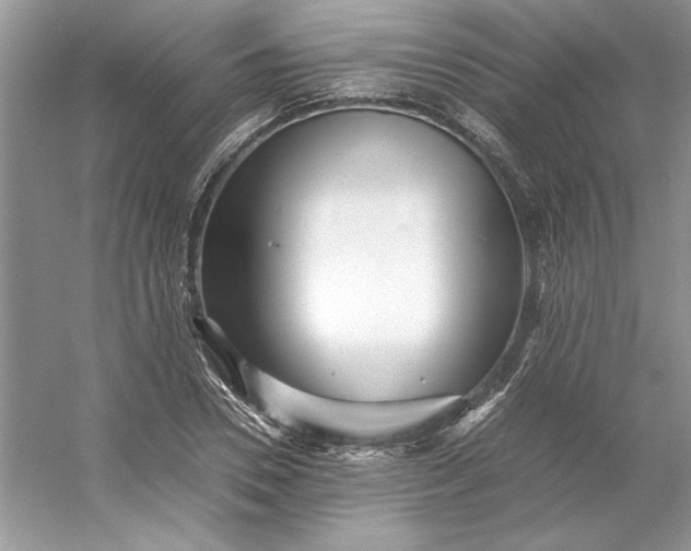 X0000053110930200507251653