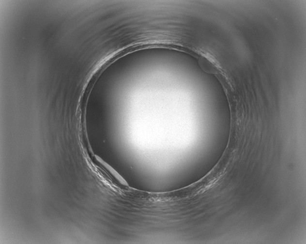 X0000053110933200507251653