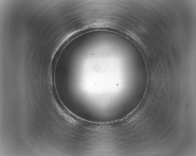 X0000053110934200507251653
