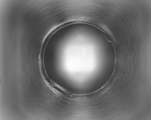 X0000053110936200507251653
