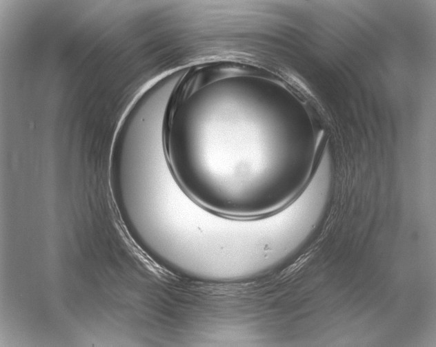 X0000053110940200507251653