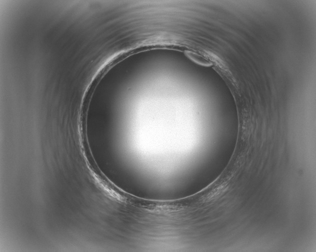 X0000053110942200507251653