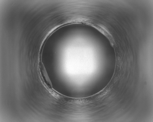 X0000053110948200507251653