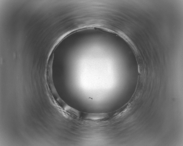 X0000053110956200507251653