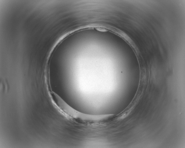 X0000053110958200507251653
