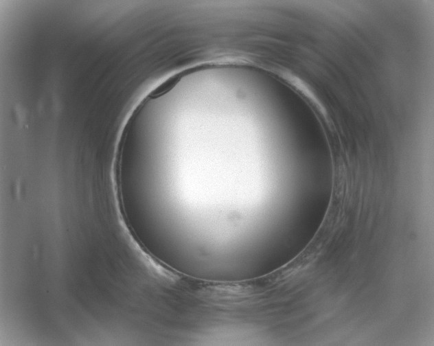 X0000053110959200507251653