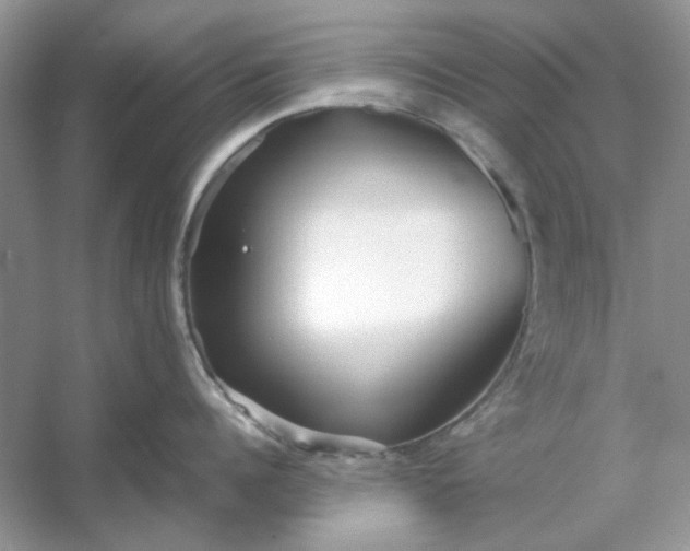 X0000053110960200507251653
