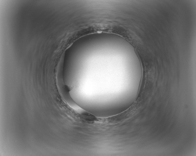 X0000053110961200507251653