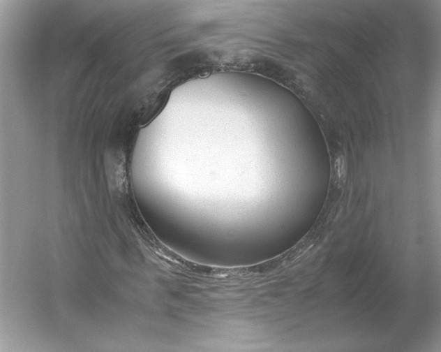 X0000053110963200507251653