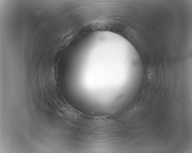 X0000053110964200507251653