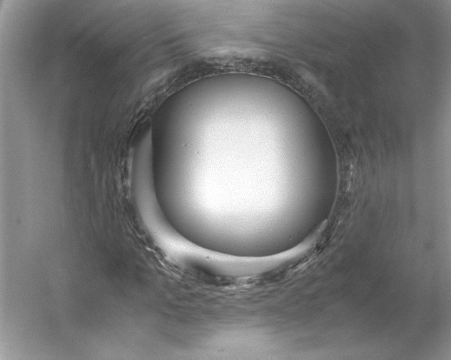 X0000053110965200507251653