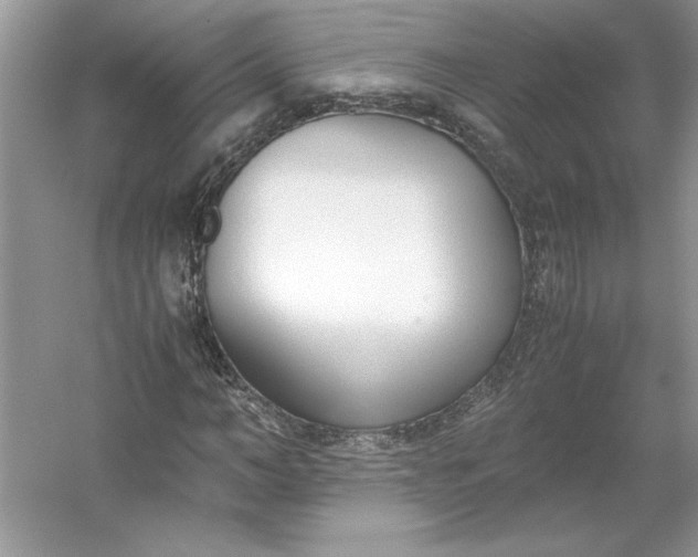 X0000053110966200507251653