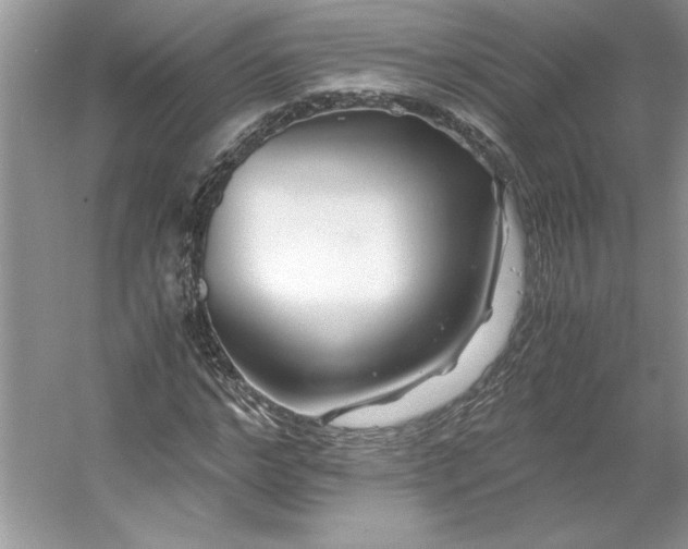 X0000053110968200507251653