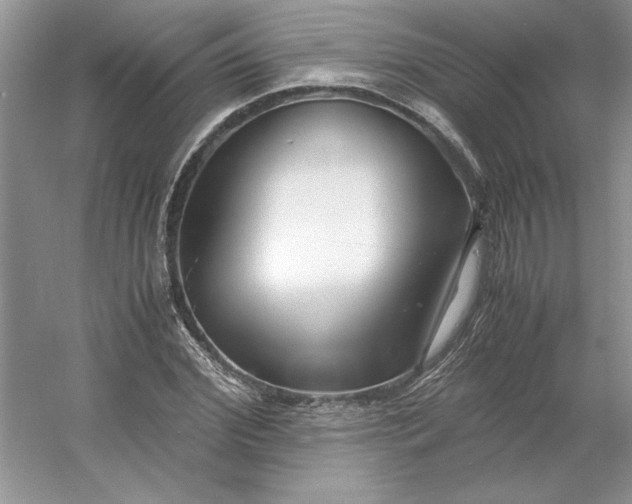 X0000053110972200507251652