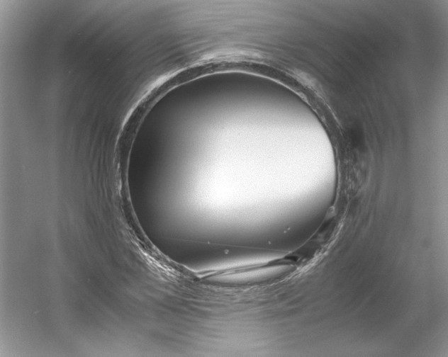X0000053110973200507251652